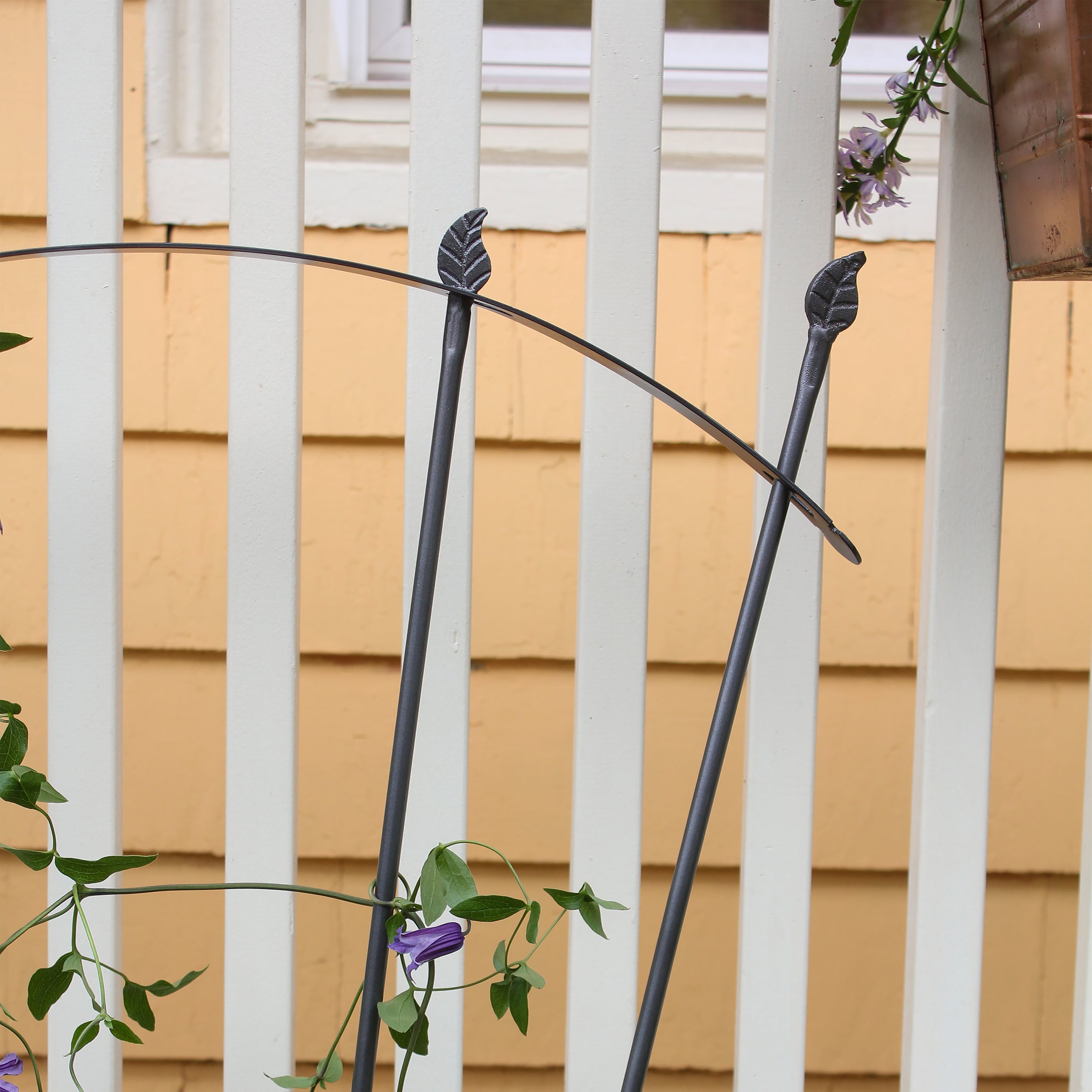 fan trellis for climbing plants Achla Designs Fan Garden Trellis, 56-in