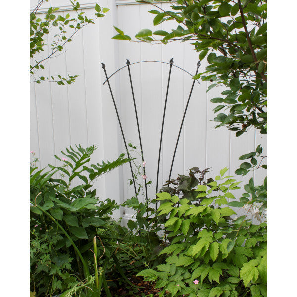 fan trellis for climbing plants Achla Designs Fan Garden Trellis, 56-in