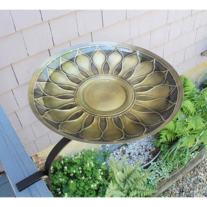 African Daisy Birdbath Birdbath
