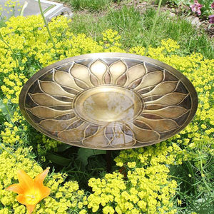 African Daisy Birdbath Birdbath