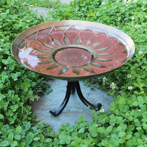 African Daisy Birdbath Birdbath
