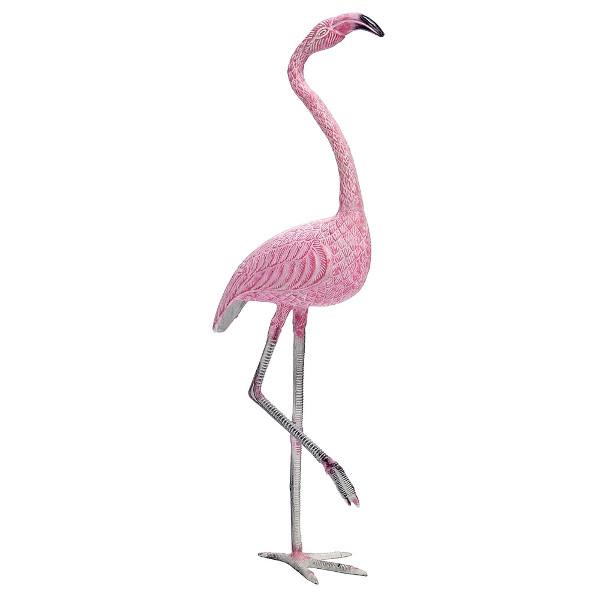 American Flamingo Flamingo