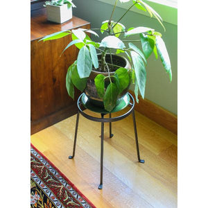 Argyle Plant Stand Plant Stand