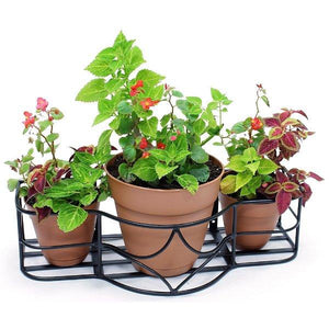 Argyle Window Box Window Box