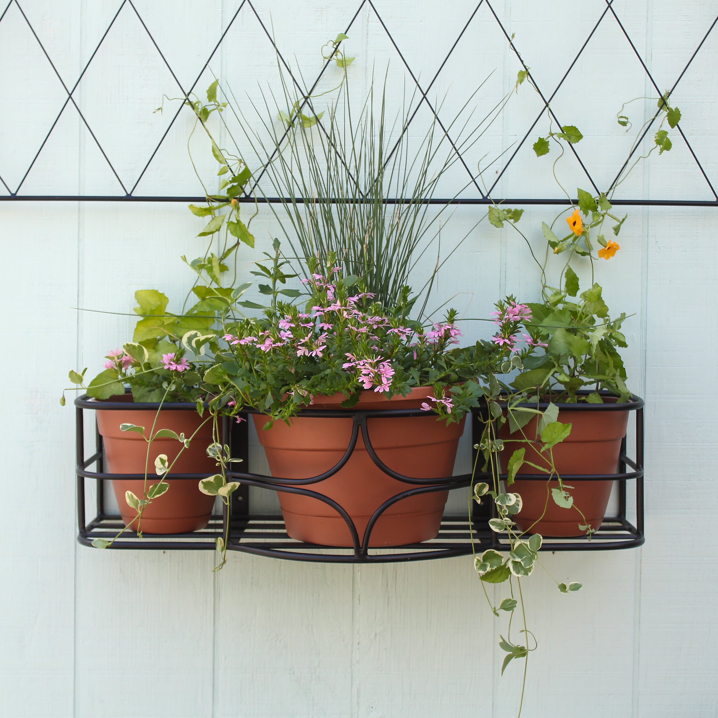 planters pots window boxes Achla Designs Argyle Window Box