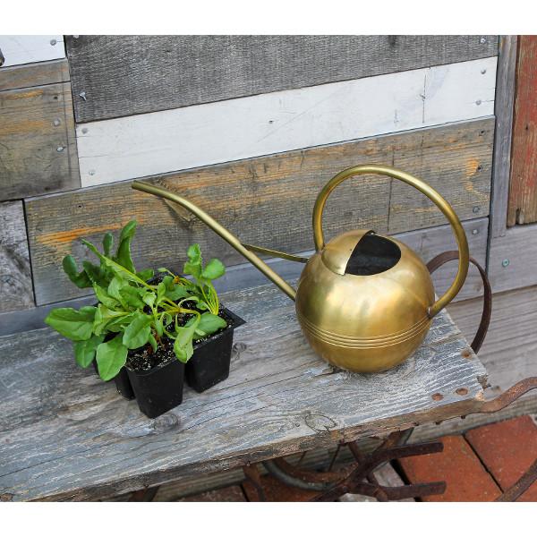 Brass Watering Can Watering Can