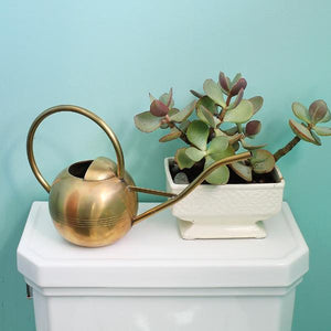 Brass Watering Can Watering Can