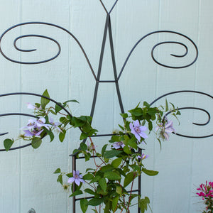 Butterfly Trellis Trellis
