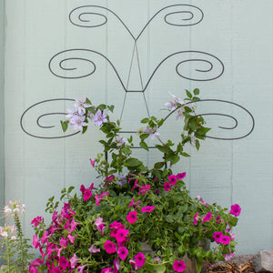 Butterfly Trellis Trellis