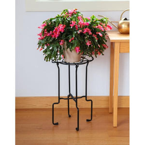 Catalina Plant Stand Plant Stand