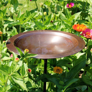 Classic II Birdbath Birdbath