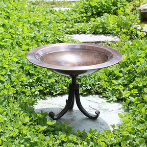Classic II Birdbath Birdbath