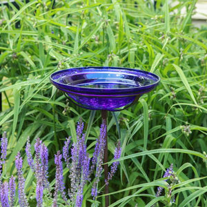 Cobalt Blue Crackle Glass Birdbath Bowl Birdbath Bowls