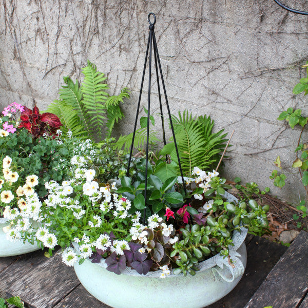 container plant trellis Achla Container Trellis Pack of 2