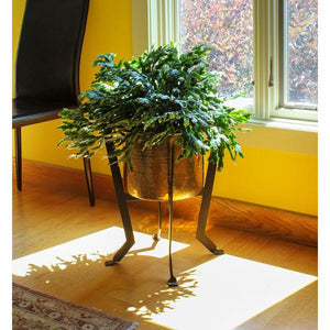 Denise Plant Stand Plant Stand