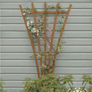 Eco-Friendly Hartford Fan Trellis Trellis