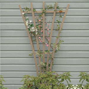 Eco-Friendly Hartford Fan Trellis Trellis