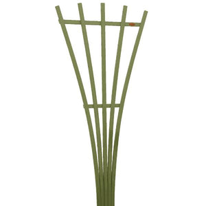 Eco-Friendly Hartford Fan Trellis Trellis Dried Sage