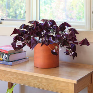 Eileen Planter with Steel Patina Pot Patina Pot