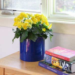 Eileen Planter with Steel Patina Pot Patina Pot