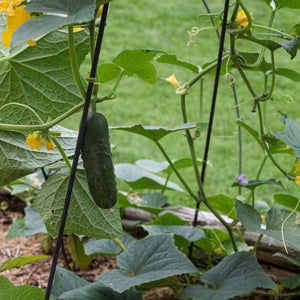 Fleur-De-Lis Garden Trellises Garden Trellises