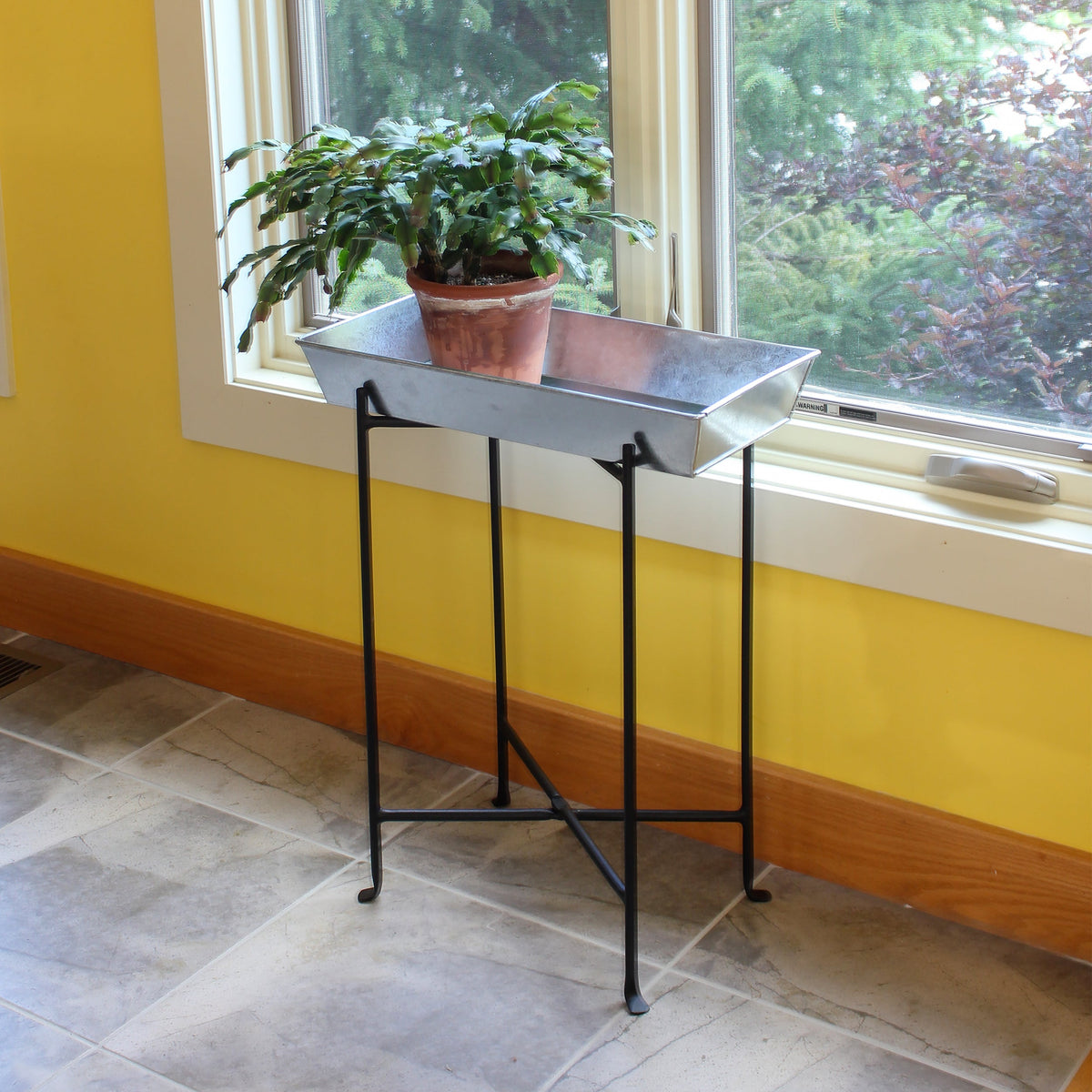 Folding Stand Stands