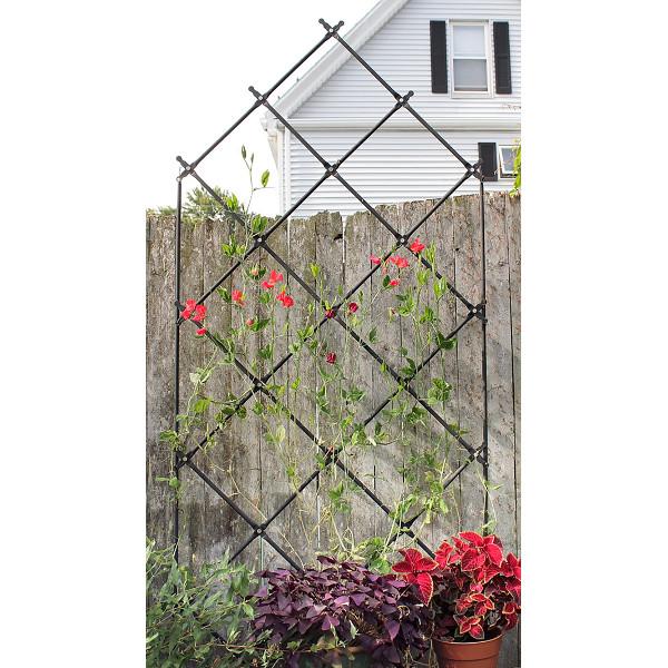 metal trellis for plants Achla Lattice Trellis