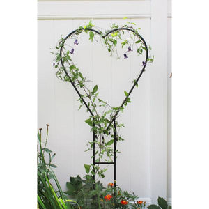 Heart Trellis Hanger Hanger