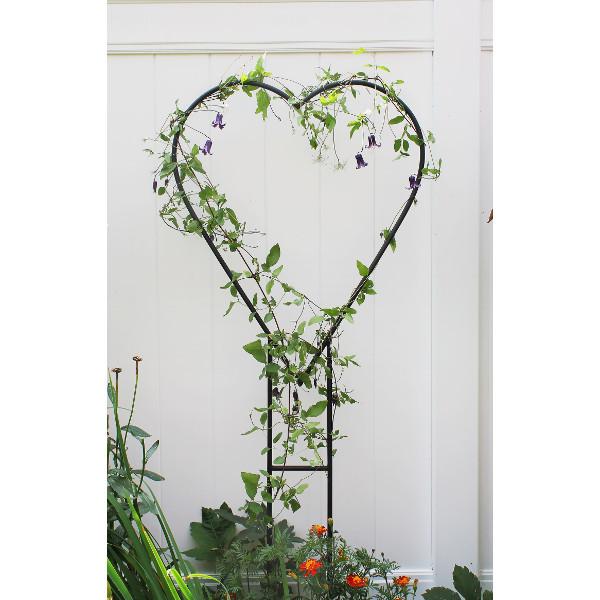 heart trellis for plants Heart Trellis Hanger