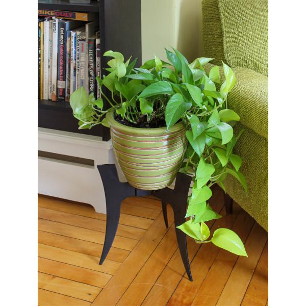 Ibex Plant Stand Plant Stand