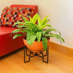 Jane Planters with Steel Patina Bowls Planters with Bowls