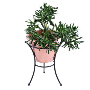 Multi Use Stand Stand