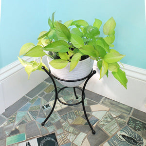 Multi Use Stand Stand