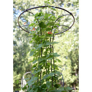 Mushroom Trellis Trellis