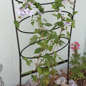 Ovals Trellis Garden Trellis