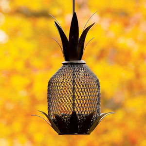 Pineapple Bird Feeder Feeder