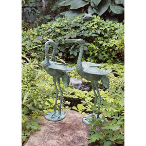 Preening Crane Pair Crane Pair