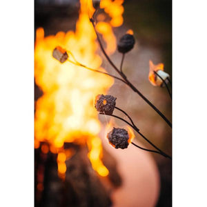 Roasting Stick Roasting Stick