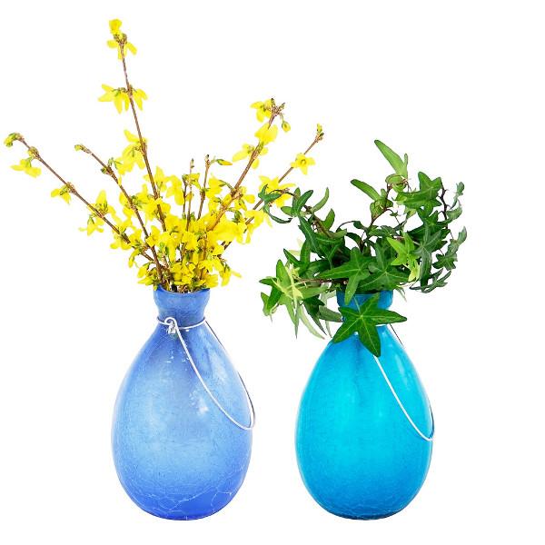 Rooting Vase Vase