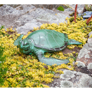 Sea Turtle Turtle