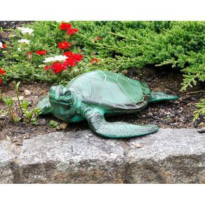 Sea Turtle Turtle