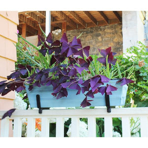 Small Flower Box With Railing Brackets Flower Box Brackets