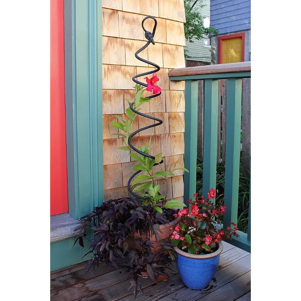 spiral trellis for plants Achla Designs Spiral Trellis