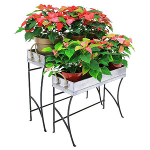 Trestle Plant Stand Plant Stand