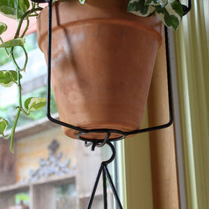 Vera Plant Hanger