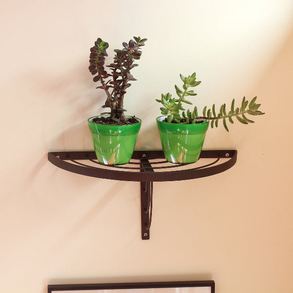round hanging plant shelf Achla Designs 18 in. Vita Half-Round Wall Shelf