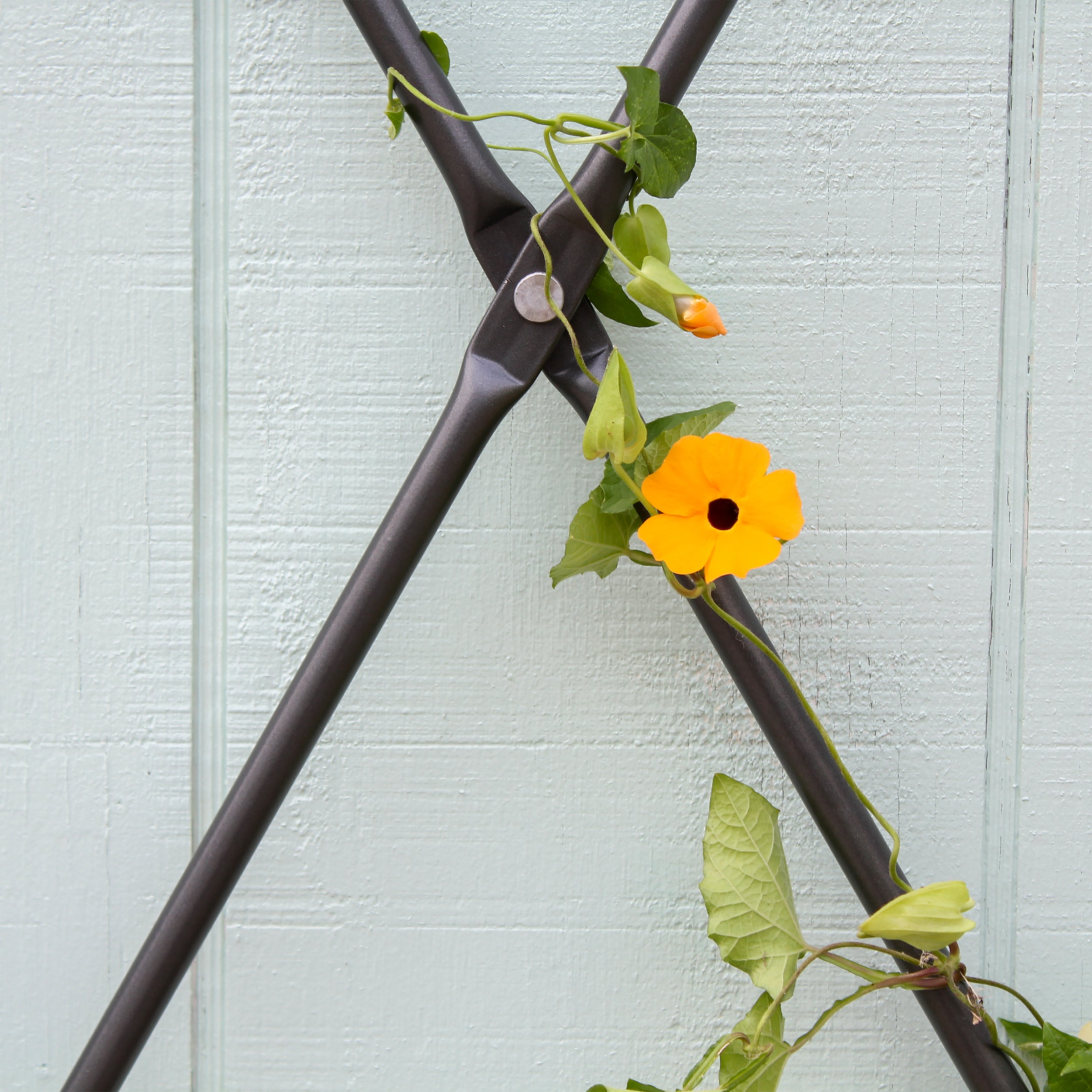 wall mounted wood trellis Achla Folding Trellis / Wall Mounted