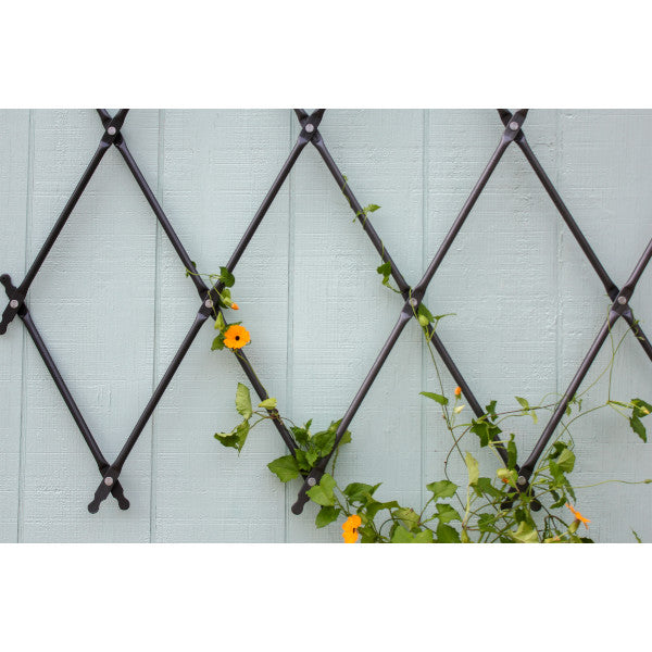 chain plant trellis Achla Folding Trellis / Wall Mounted