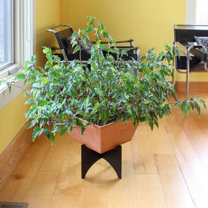 Zaha Plant Stand Plant Stand